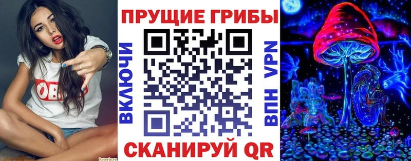 Галлюциногенные грибы мухоморы  наркота  Каменка 